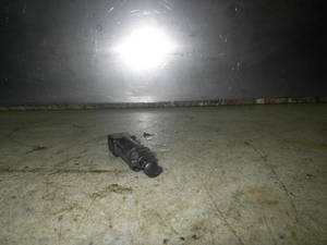 35559 Schalter für Bremsleuchte RENAULT Clio II (B) 444986
