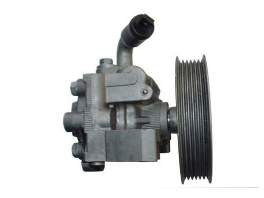 Hydraulikpumpe, Lenkung Spidan 54323