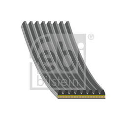 Keilrippenriemen Febi Bilstein 179891
