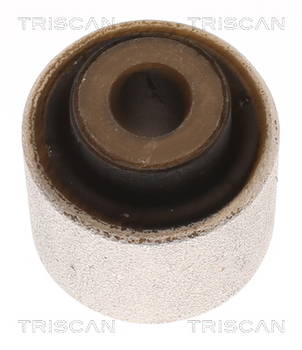 Lagerung, Lenker Hinterachse beidseitig Triscan 8500 27847