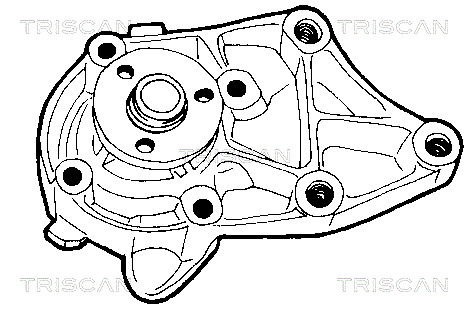 Wasserpumpe, Motorkühlung Triscan 8600 10864