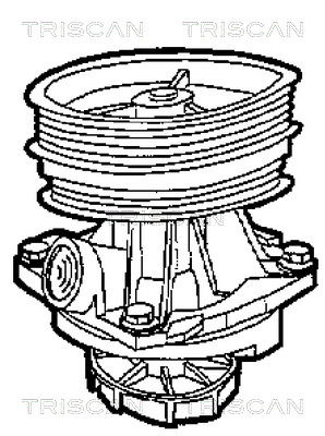 Wasserpumpe, Motorkühlung Triscan 8600 15014