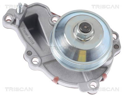 Wasserpumpe, Motorkühlung Triscan 8600 28026