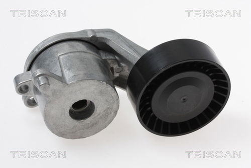 Riemenspanner, Keilrippenriemen Triscan 8641 103048