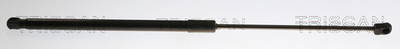 Gasfeder, Motorhaube Triscan 8710 82011