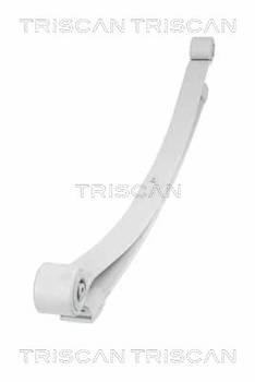 Federnpaket Hinterachse Triscan 8765 23026