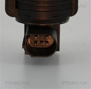 AGR-Ventil Triscan 8813 25005