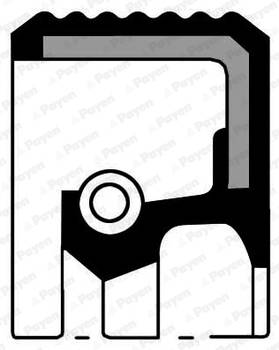 Wellendichtring, Differential Payen NA5486