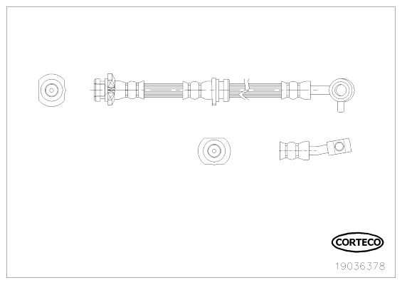 Bremsschlauch Vorderachse links Corteco 19036378