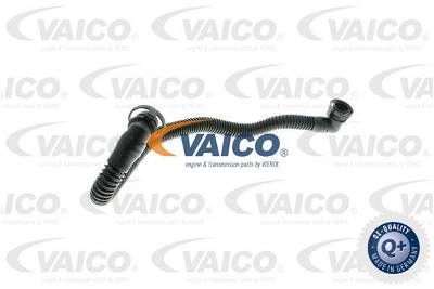 Schlauch, Luftversorgung Sekundärluftpumpe Vaico V10-3583