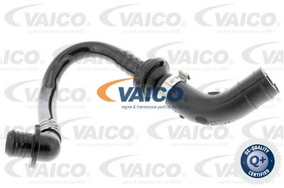 Unterdruckschlauch, Bremsanlage Vaico V10-3612
