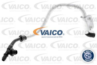 Unterdruckschlauch, Bremsanlage AGR-Ventil an Krümmer Vaico V10-3616
