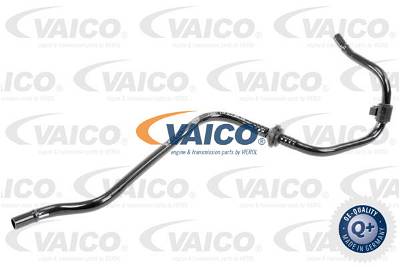 Unterdruckschlauch, Bremsanlage Leitung an Bypassklappe Vaico V10-3619
