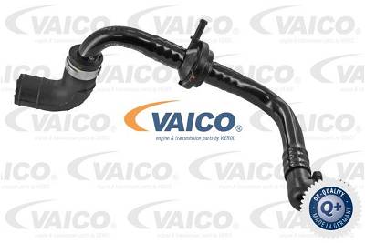 Unterdruckschlauch, Bremsanlage Bypassklappe an AGR-Kühler Vaico V10-3622