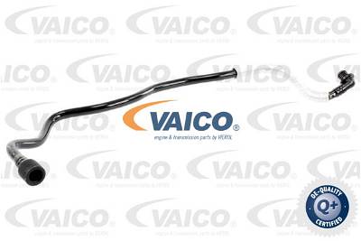 Unterdruckschlauch, Bremsanlage Ladebordwand Vaico V10-3626