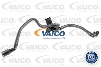 Unterdruckschlauch, Bremsanlage Vaico V10-3629