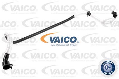 Unterdruckschlauch, Bremsanlage Vaico V10-3636