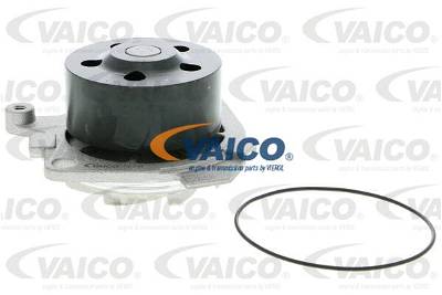 Wasserpumpe, Motorkühlung Vaico V24-50010