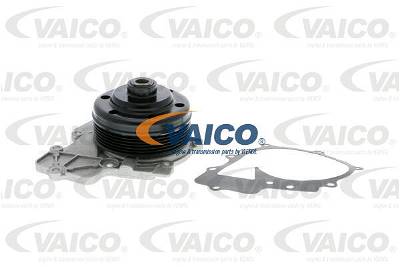 Wasserpumpe, Motorkühlung Vaico V30-50085