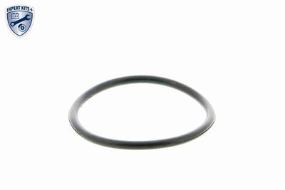 Thermostatgehäuse Vemo V15-99-2024