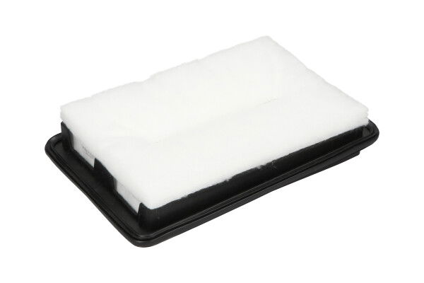 kavoparts Luftfilter Kavo Parts NA-2678