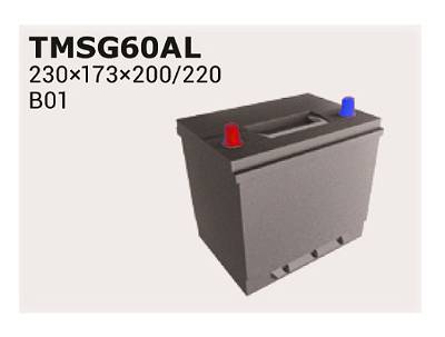 Starterbatterie Ipsa TMSG60AL