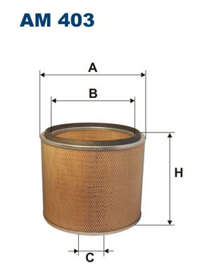 Filtron Luftfilter  AM 403