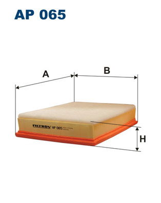 Filtron Luftfilter  AP 065