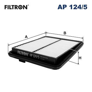 Filtron Luftfilter  AP 124/5