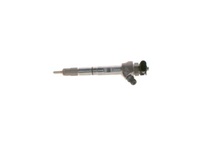 Einspritzdüse Bosch 0 445 110 834