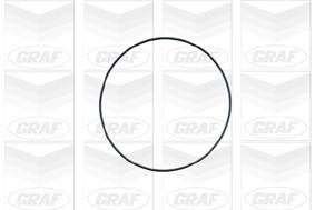 Wasserpumpe, Motorkühlung Graf PA671