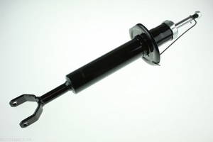 Stoßdämpfer Vorderachse Automega 110066610