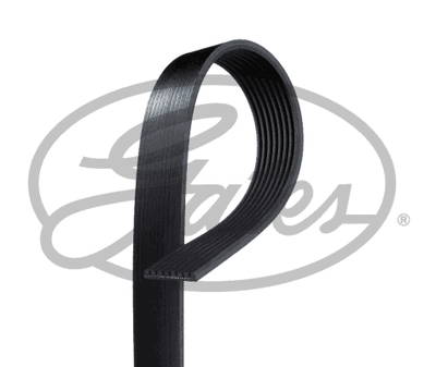 Keilrippenriemen Gates 8PK1162EST