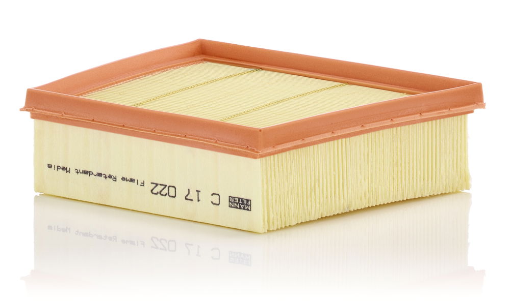 Luftfilter MANN-FILTER C 17 022