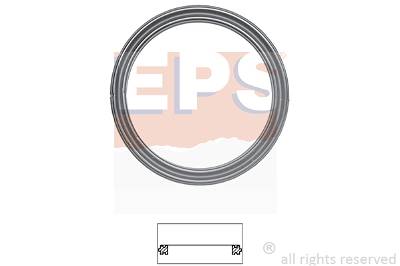Dichtung, Thermostat EPS 1.890.709