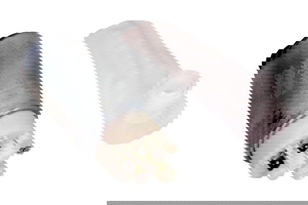 Kraftstoffpumpe Maxgear 43-0125