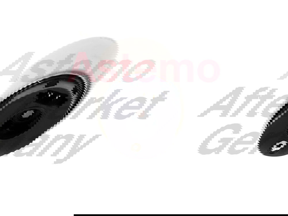 Hitachi Kraftstoffpumpe  2503191