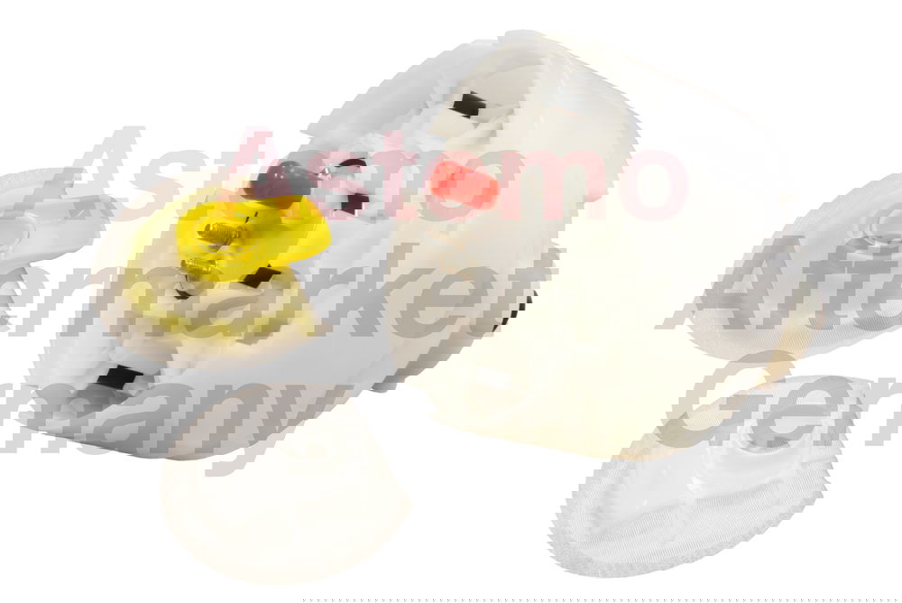 Hitachi Kraftstoffpumpe  2503312