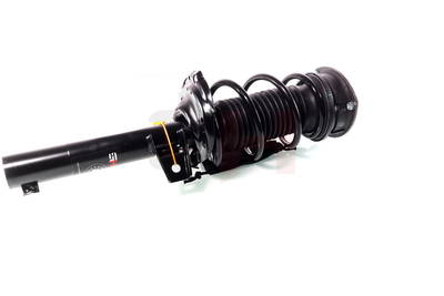 Federbein Vorderachse GH GH-359965C08