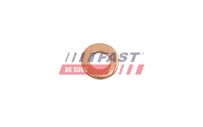 Dichtring, Düsenhalter Fast FT49846