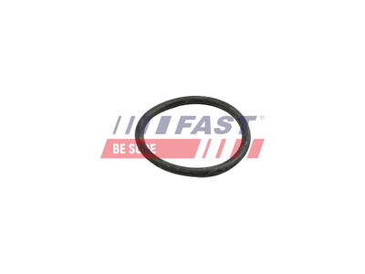 Dichtung, Kühlmittelrohrleitung Fast FT49918
