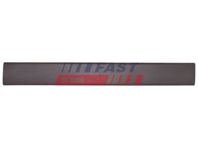 Zier-/Schutzleiste, Seitenwand Fast FT90789