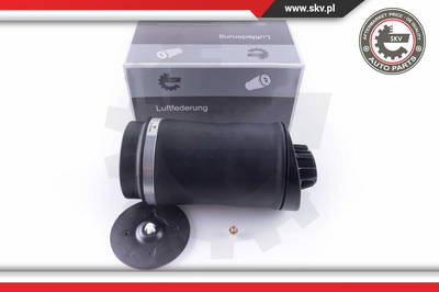 Luftfeder, Fahrwerk Esen SKV 58SKV025