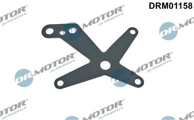 Dichtungssatz, Hydraulikpumpe Dr.Motor Automotive DRM01158