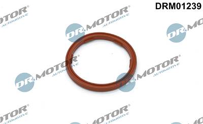 Dichtring, Ölablassschraube Dr.Motor Automotive DRM01239