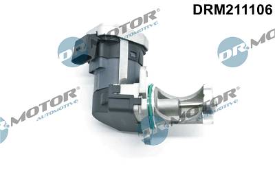AGR-Ventil Dr.Motor Automotive DRM211106