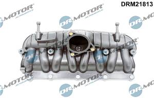 Saugrohrmodul Dr.Motor Automotive DRM21813