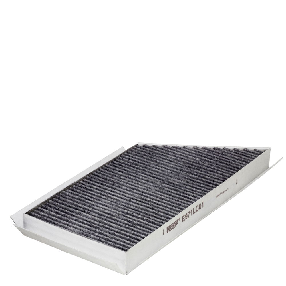 hengstfilter Filter, Innenraumluft Hengst Filter E971LC01