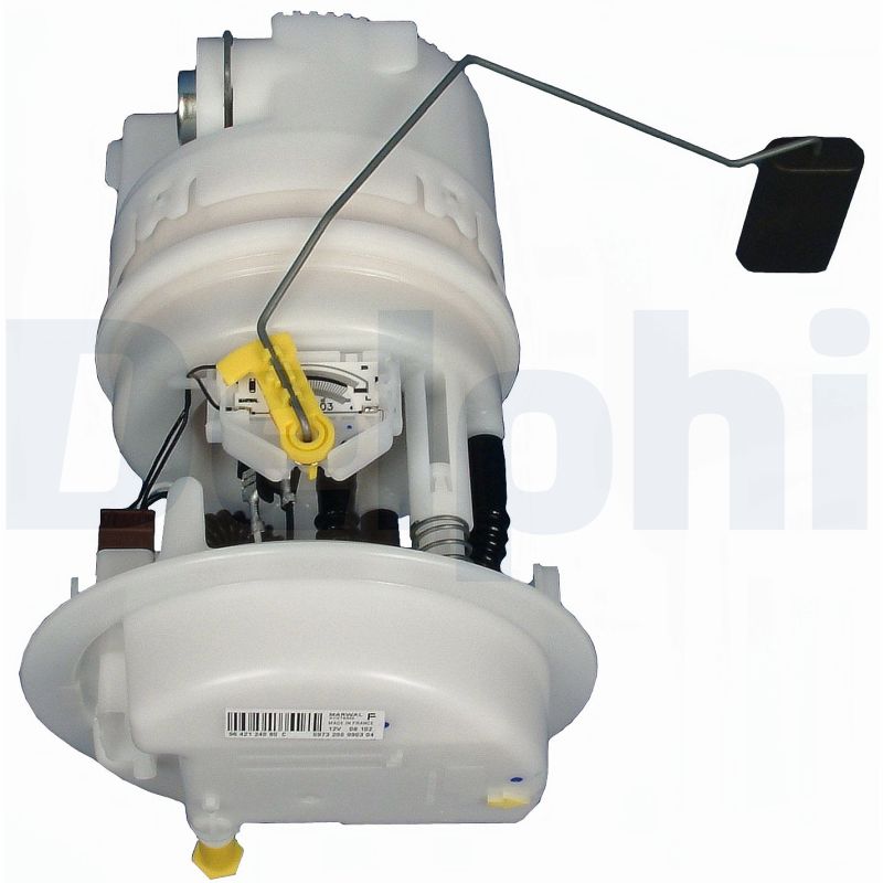 Delphi Kraftstoffpumpe  FE10175-12B1
